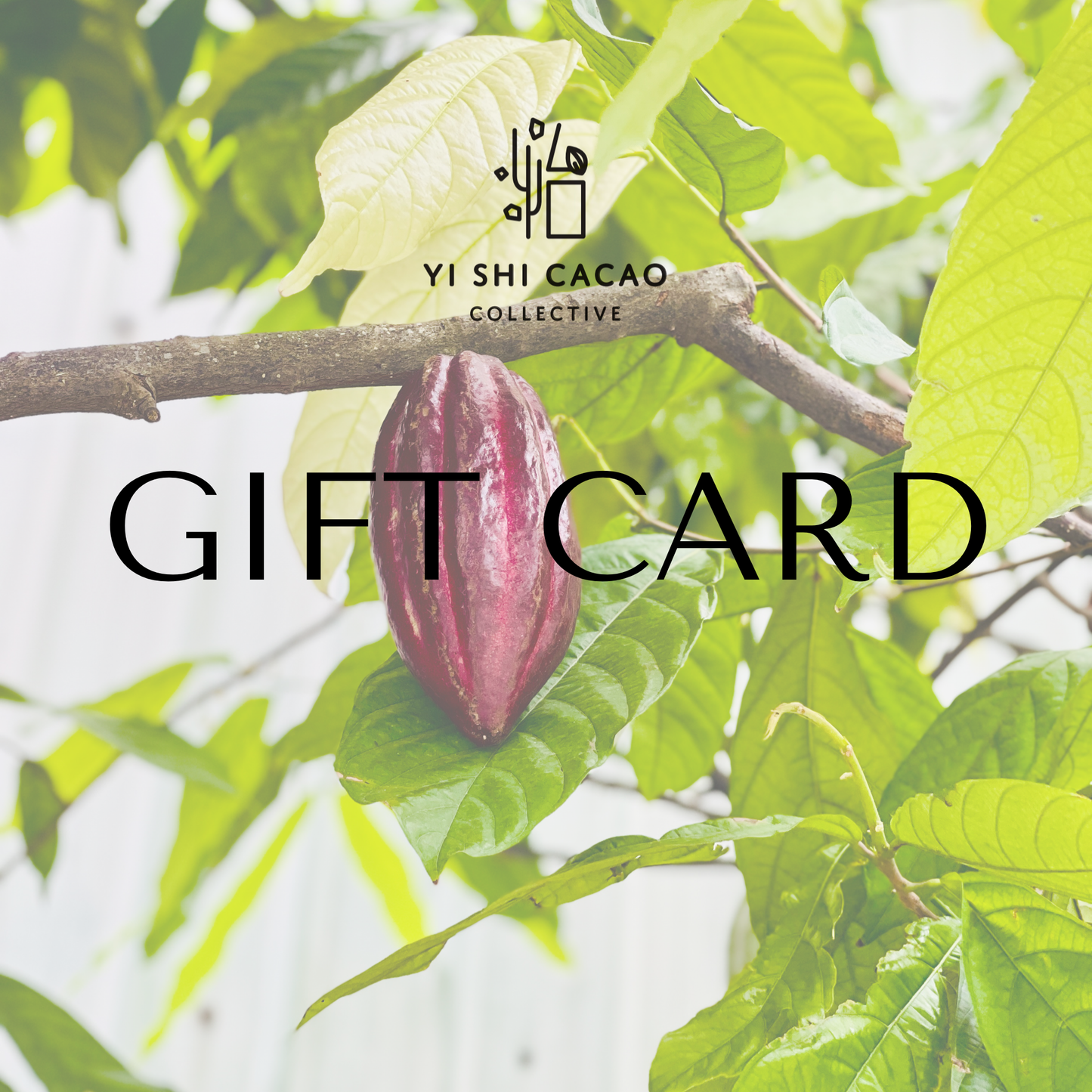 YI SHI Cacao Collective Gift Card