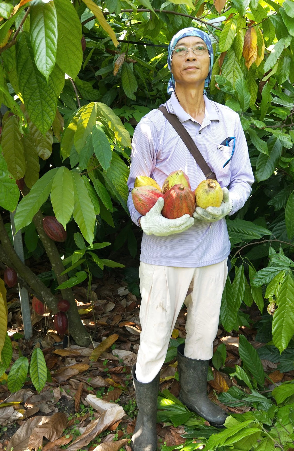 Changzhi Pingtung 70%